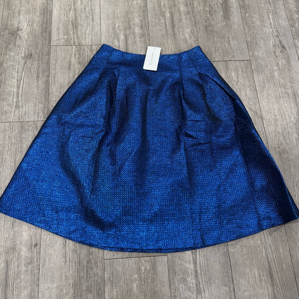 LUCY & CO. Elegant Blue Skirt